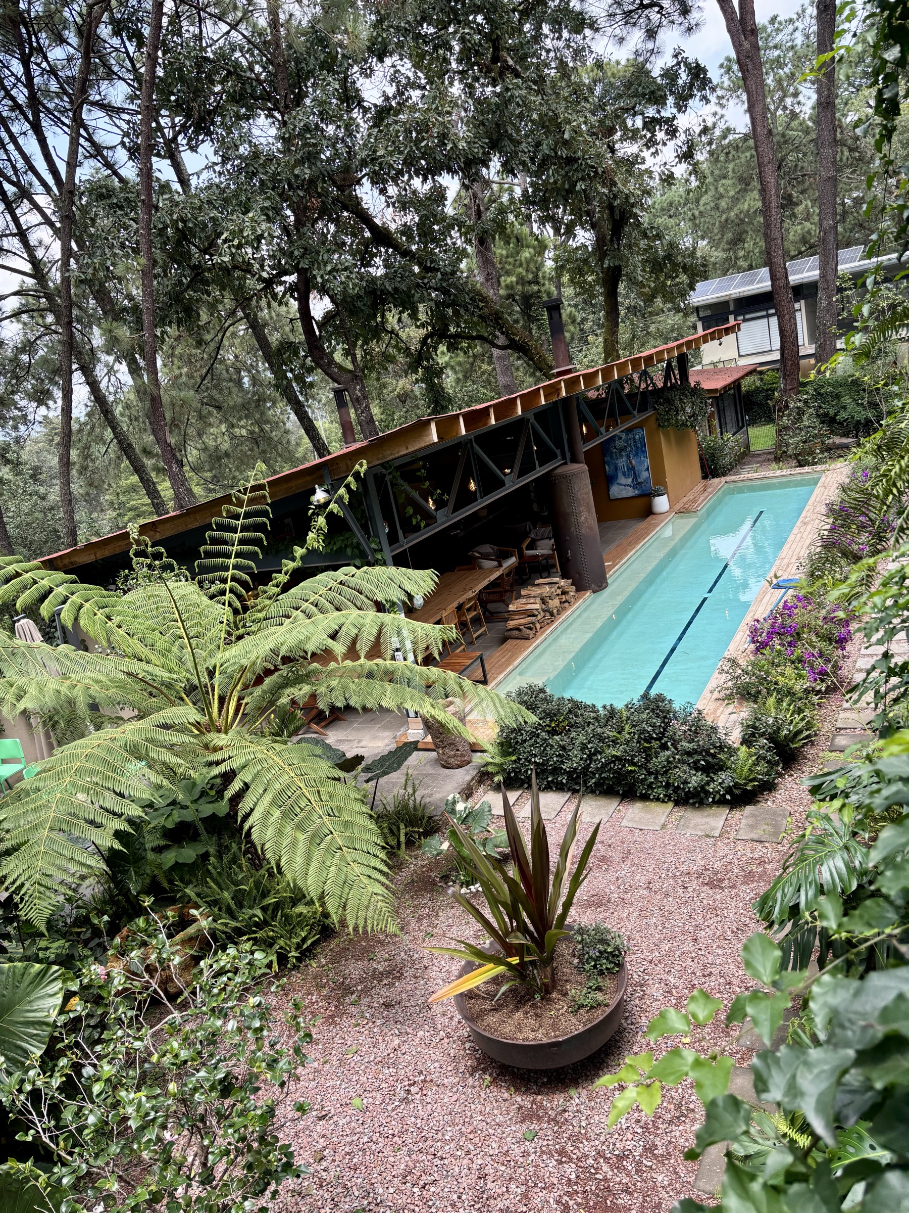 Alberca entre el bosque, vista desde el jardín